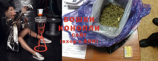 mdpv Каменногорск