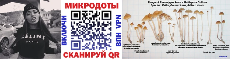 Псилоцибиновые грибы Cubensis Пыть-Ях